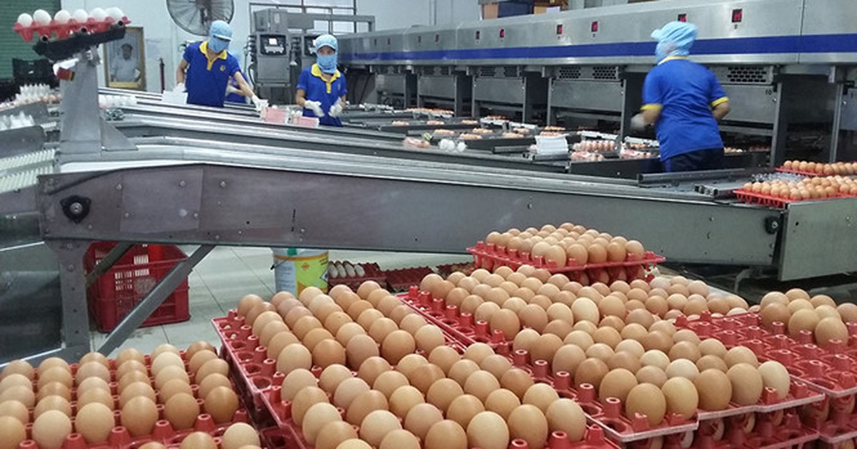 Trứng gia cầm tăng giá