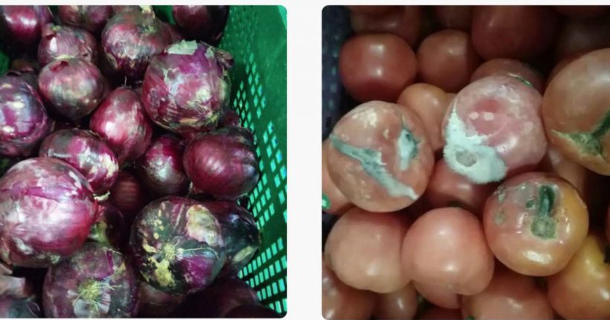 Hiệu trưởng mất chức vì thực phẩm lên mốc trong bếp ăn trường học