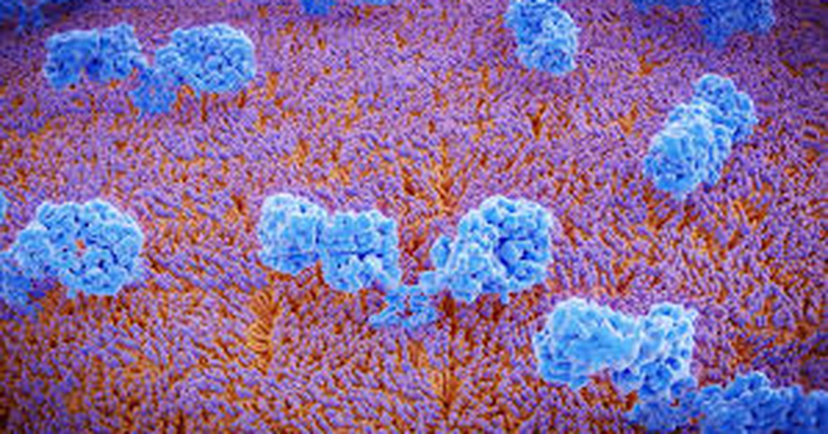 Đột phá mới trong điều trị bệnh ung thư