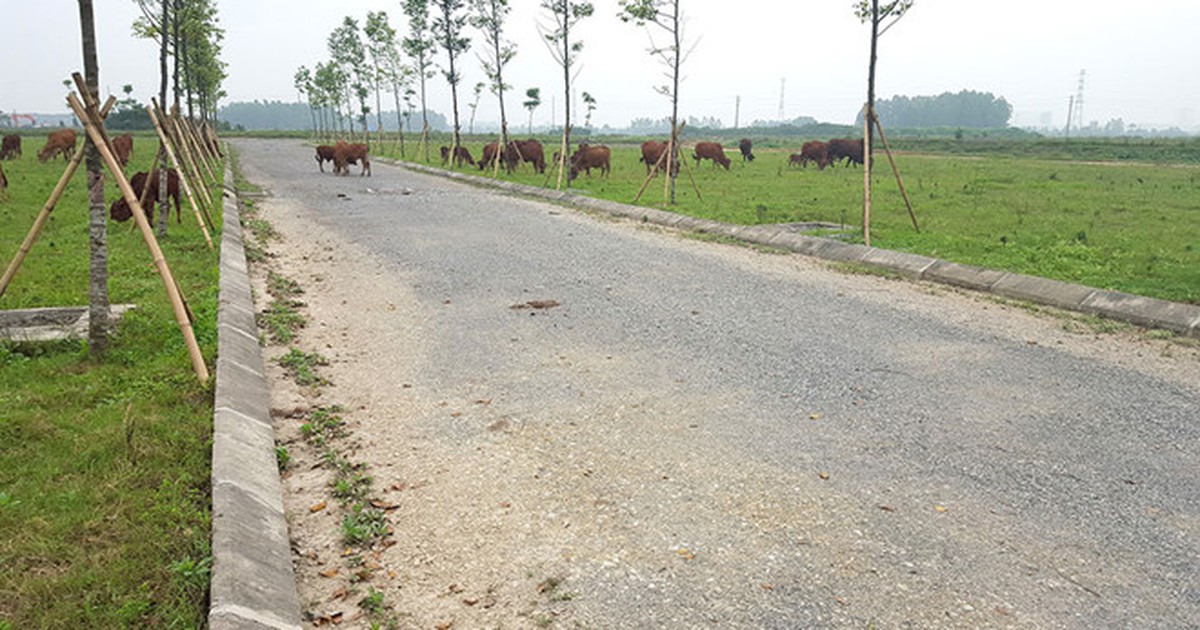 Tự ý thêm thủ tục làm khó cho việc tách thửa của công dân