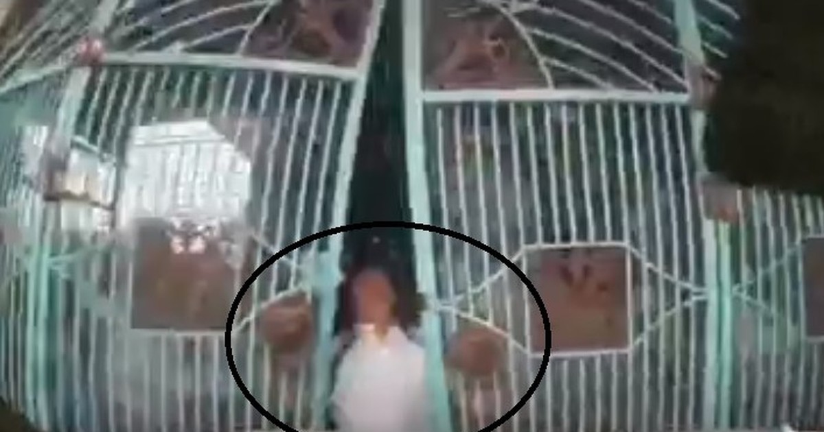 Sốc với nghi vấn con gái đạp nhầm chân ga đâm vào bố