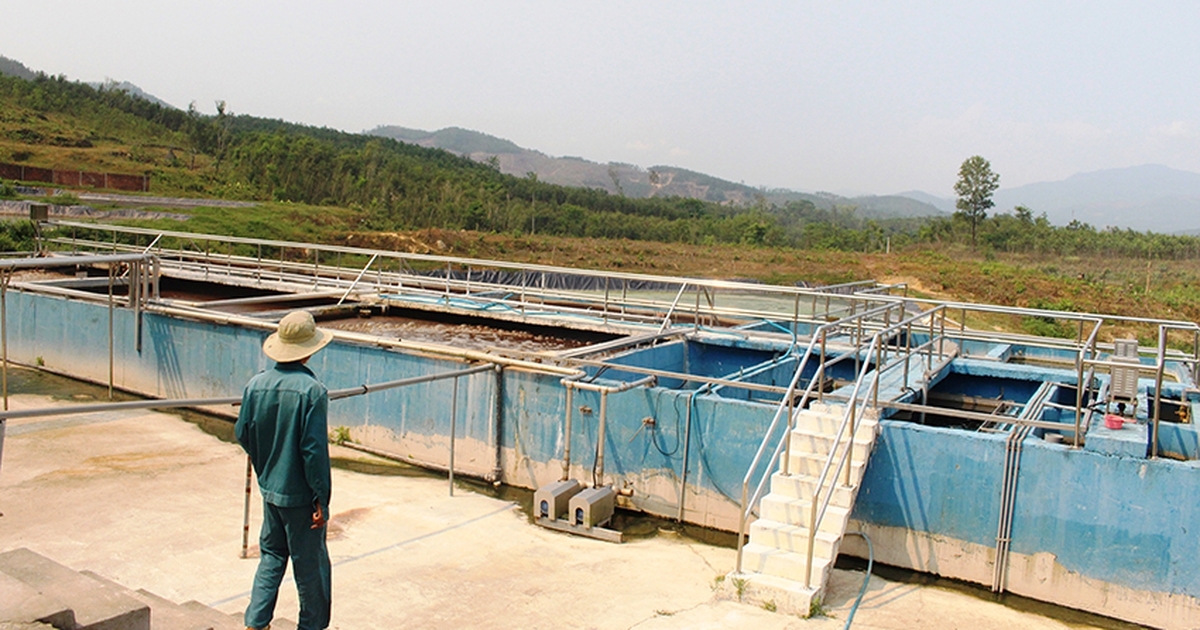 Gây áp lực với trại heo ô nhiễm