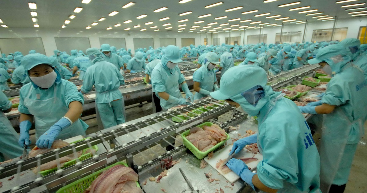 Thủy sản Việt chưa tận dụng được EVFTA vì thẻ vàng