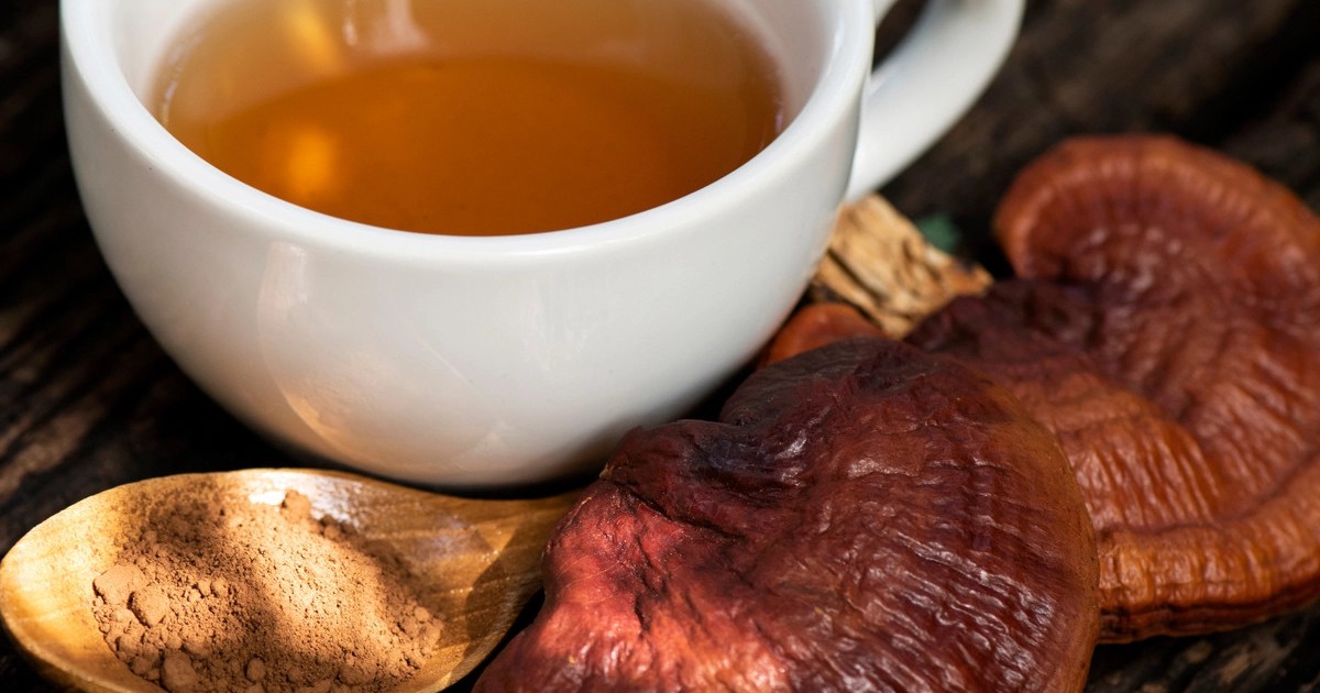 Một loại nấm có thể ngăn ngừa ung thư, bạn đã biết chưa?