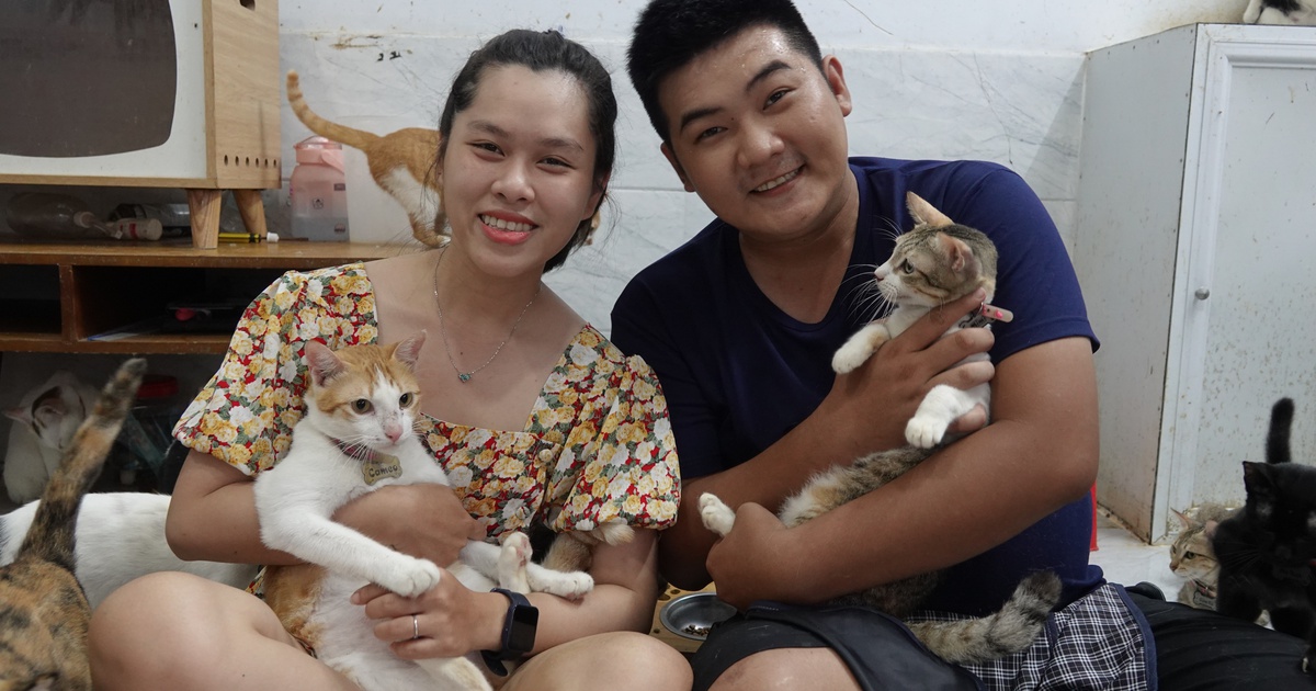 Nhà hạnh phúc dành cho mèo