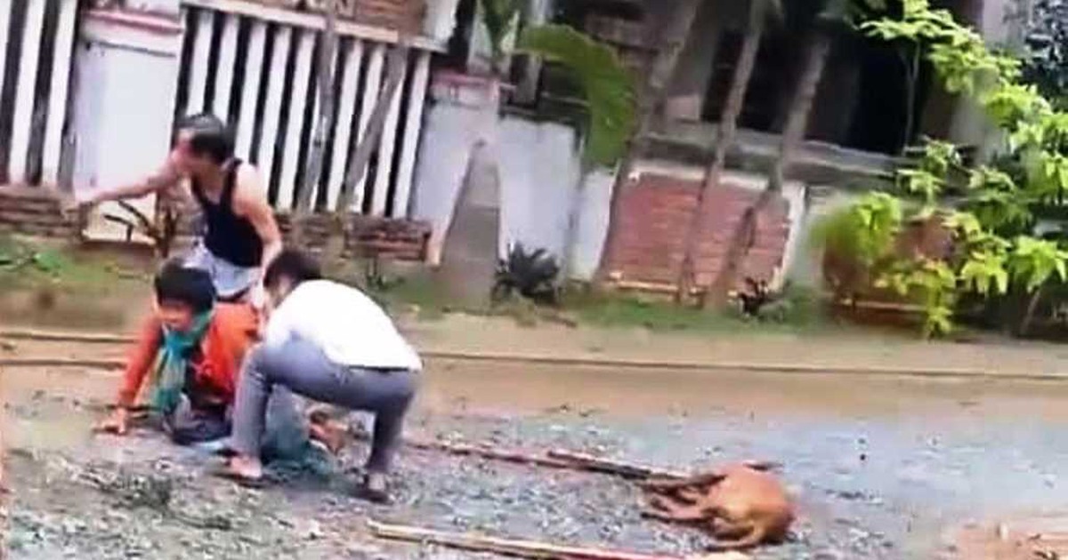 Kinh hoàng chó Pitbull tuột xích, cắn nát tay người phụ nữ 79 tuổi ở Quảng Nam