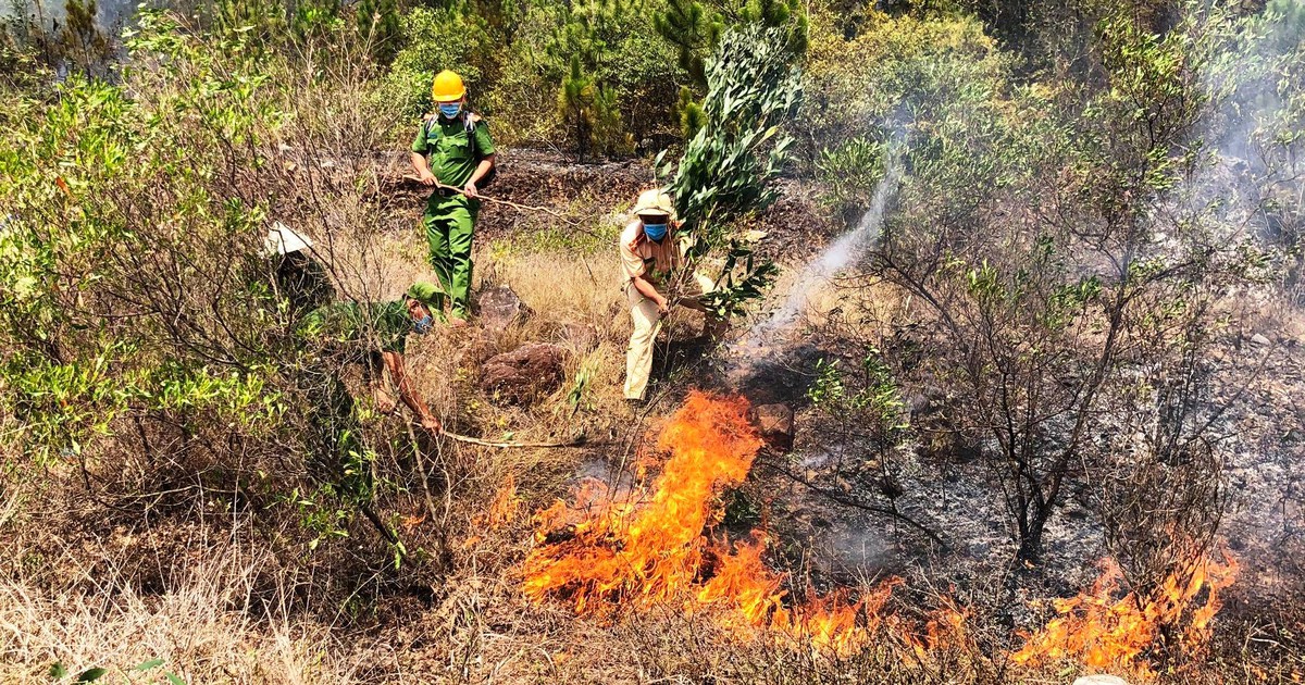 Quảng Nam: Hàng trăm người suốt 20 tiếng căng mình tạo đường băng cản lửa, dập cháy rừng