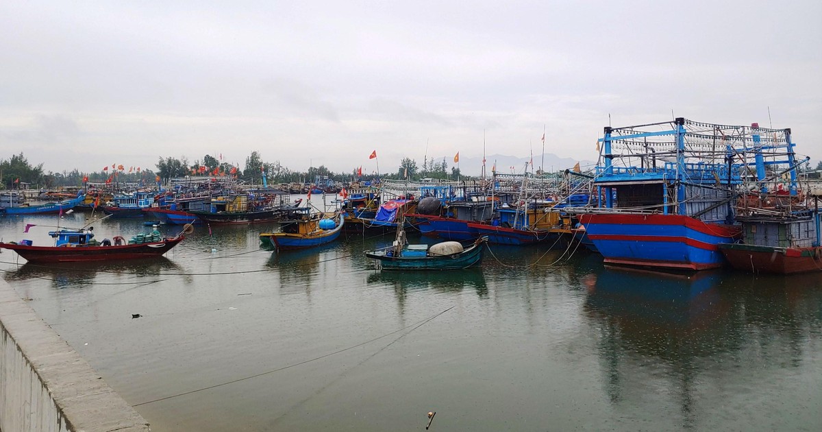 Áp thấp nhiệt đới khả năng mạnh lên thành bão, Quảng Nam cấm tàu thuyền ra khơi