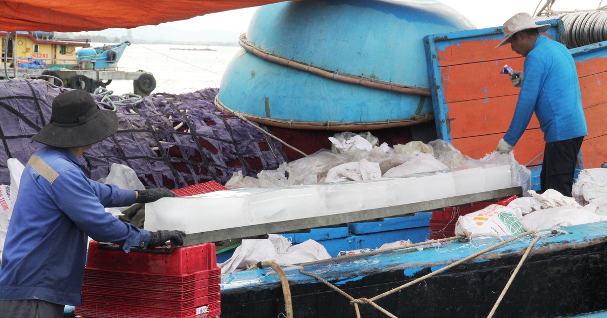 Trung Quốc áp lệnh cấm đánh bắt trên Biển Đông: ‘Chuyện cũ rích’