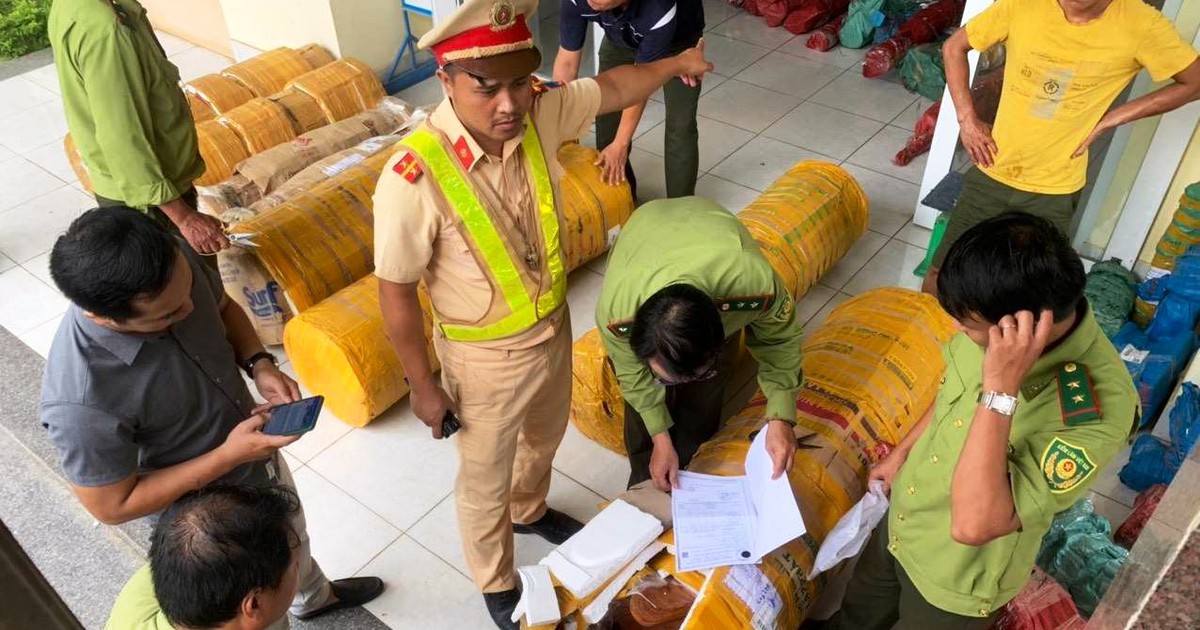 Quảng Nam: Phát hiện vụ vận chuyển gỗ trắc quy mô lớn không rõ nguồn gốc