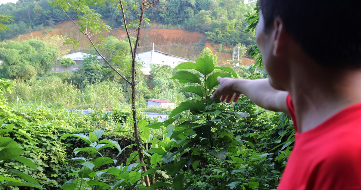 thanhnien.vn