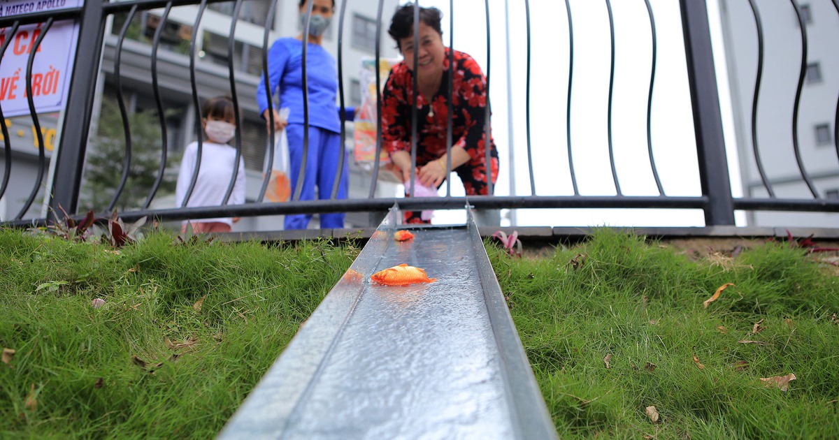 Tránh Covid-19, cá chép ‘đi cầu trượt’ tiễn ông Công ông Táo về trời