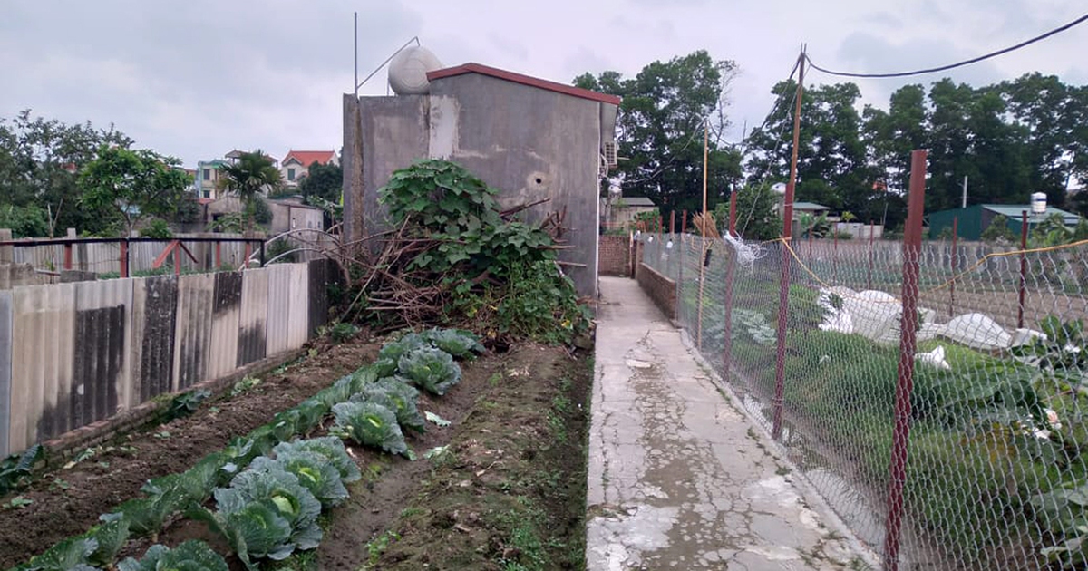 Giết vợ và con rồi tự tử: Trước khi gây án, chồng còn tặng hoa cho vợ