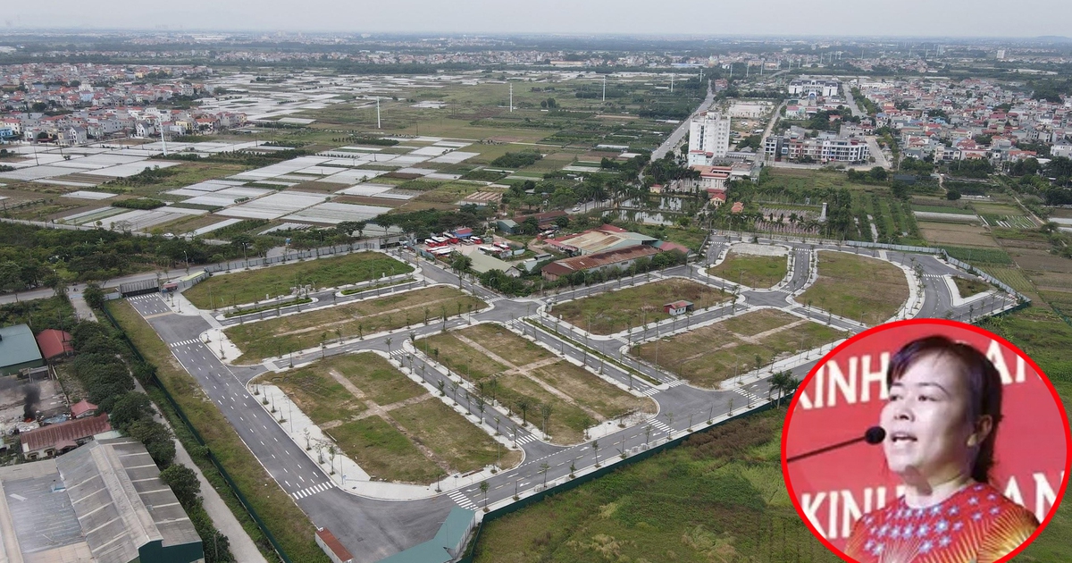 Vụ 'bán rẻ' đất cho Chủ tịch Vimedimex: Không có căn cứ xử lý nhiều quan chức