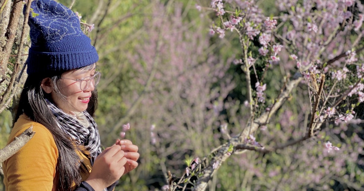 Ngày Tình nhân 14.2: Chạnh lòng nhìn người ta có đôi có cặp