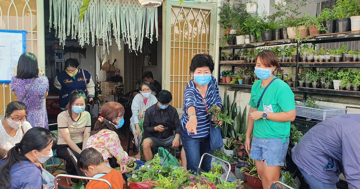 Ai muốn trồng trọt thì đến đây nhận cây, không cần trả phí