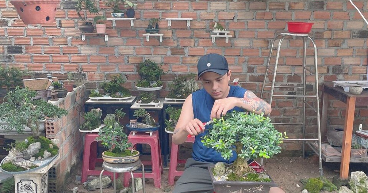 Bỏ nhậu, hết lêu lổng nhờ chơi... bonsai