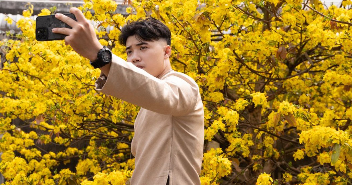 Đi 'săn' những hoa mai 150 cánh vàng nở rực tuyệt đẹp