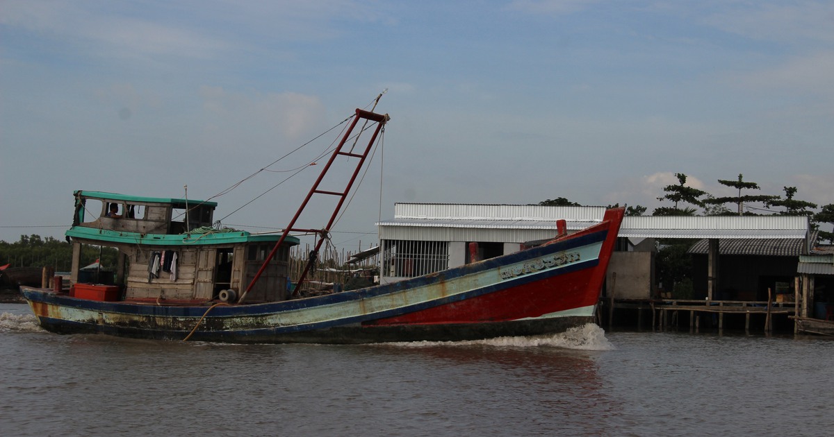 Cà Mau còn lượng lớn tàu cá chưa lắp đặt thiết bị giám sát hành trình