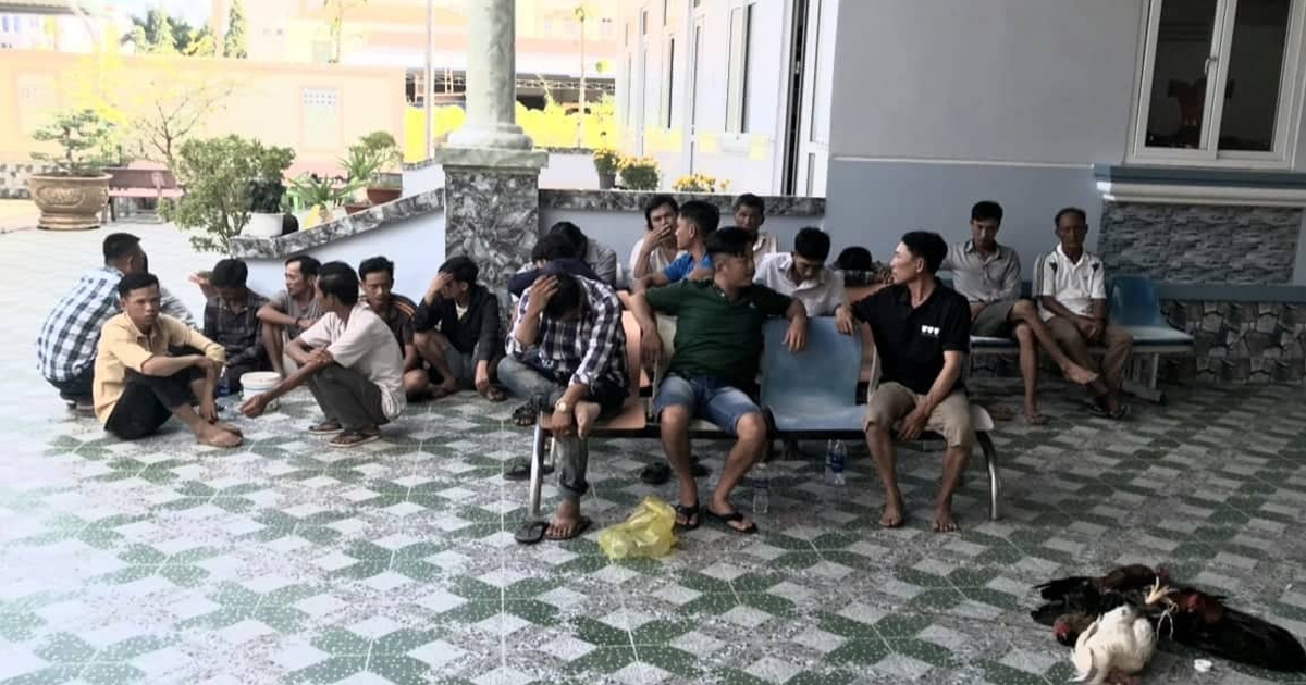 Cà Mau: Công an lội mương, phá trường gà vào trưa mùng 4 Tết