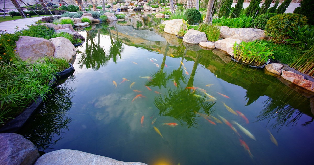 MerryLand Quy Nhơn: Thành phố bán đảo với những trải nghiệm hiếm có trong đời…