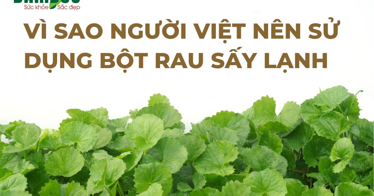 Vì sao người Việt nên sử dụng bột rau sấy lạnh