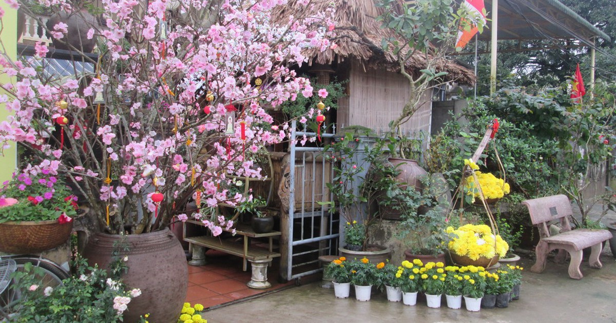 Covid-19 đã thức tỉnh chúng ta trân quý những gì đang có