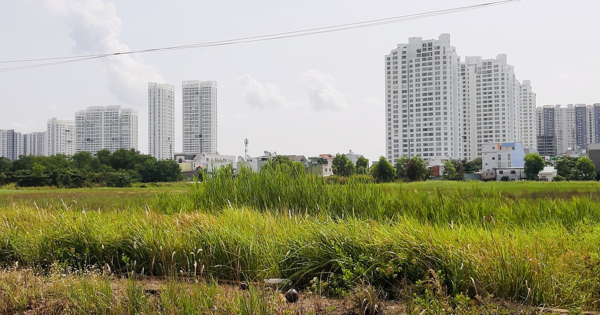 Kiến nghị đánh thuế thật cao với đất, dự án bỏ hoang