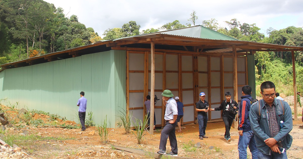 Vụ phá rừng pơ mu: Biên phòng bác thông tin 'bị công an tố ngăn cản điều tra'