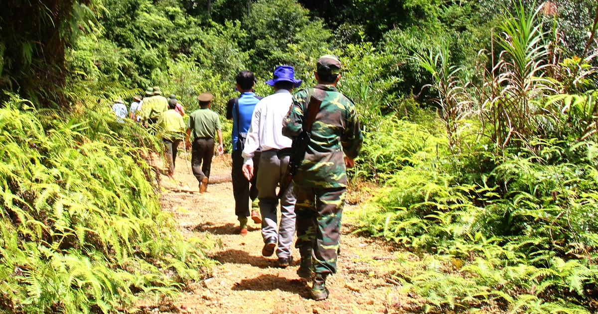 Bộ đội Biên phòng 'chưa phát hiện kịp thời' vụ phá rừng pơ mu