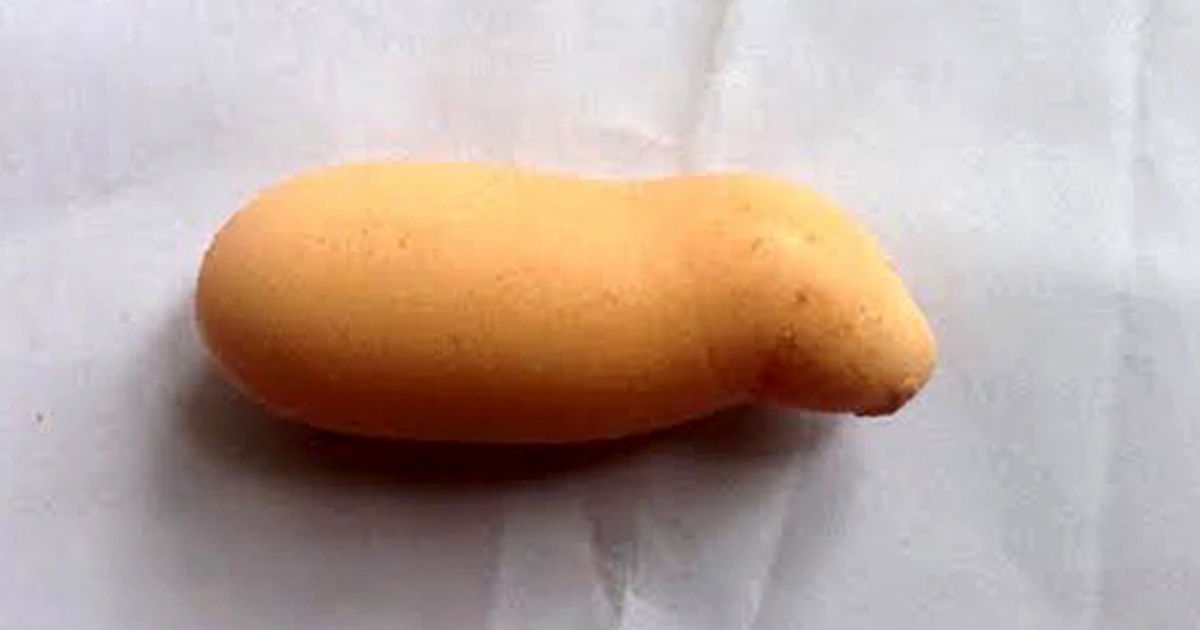 Nhiều người tò mò khi gà đẻ ra trứng có hình thù 'lạ'