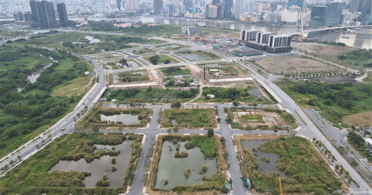 TP.HCM xử lý nghiêm hành vi tiếp tay, bao che vi phạm đấu giá tài sản công