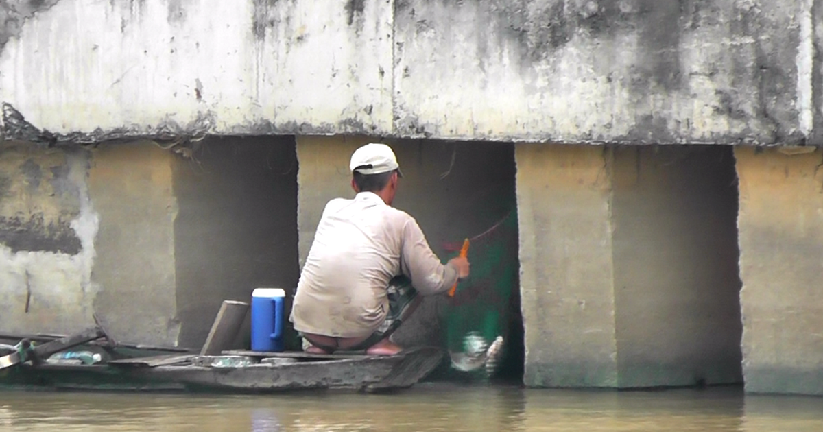 ‘Sát thủ’ ngang nhiên diệt cá trên kênh Nhiêu Lộc