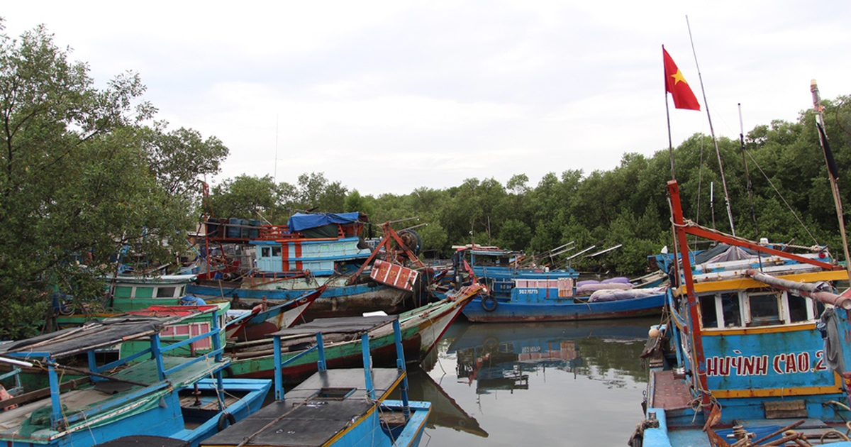 TP.HCM sẵn sàng di dời hơn 800 người ở xã đảo Thạnh An vào bờ tránh bão