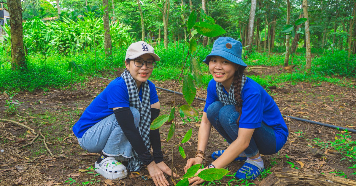 Cuối tuần, thay vì ở nhà bấm điện thoại thì... trồng cây gây rừng