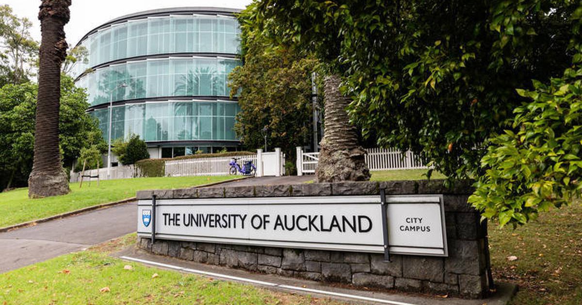 Phát hiện gian lận: Nhiều sinh viên thuê người viết hộ bài luận từ đầu đến cuối