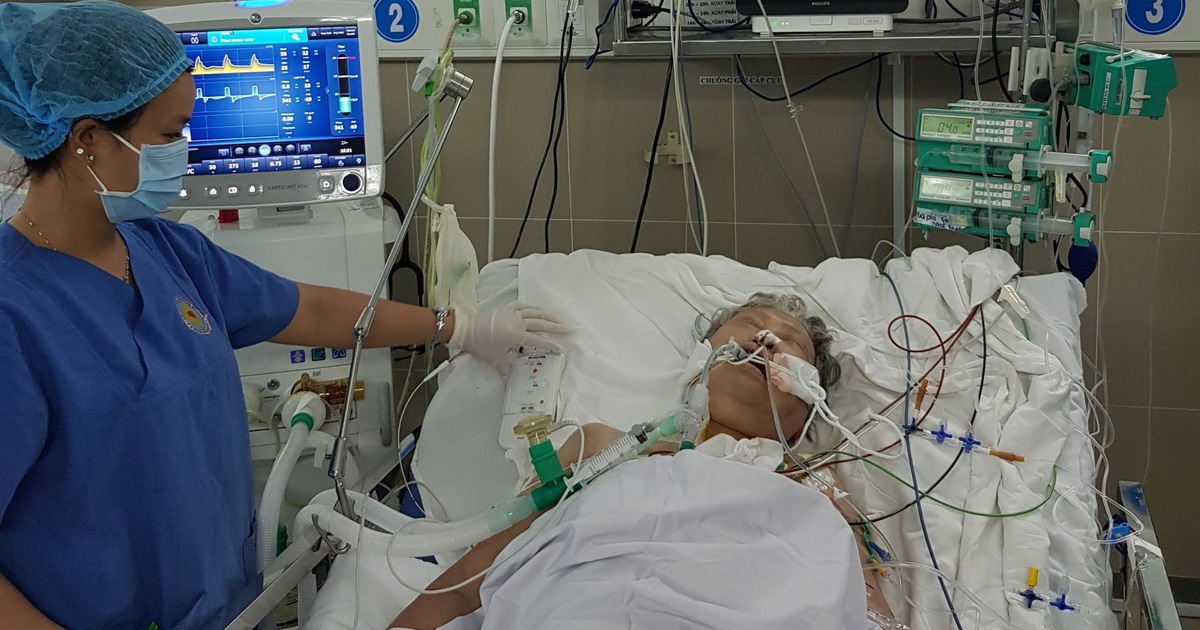 BV Quận 11 lần đầu đặt máy tạo nhịp tim nhân tạo đã cứu sống một cụ bà