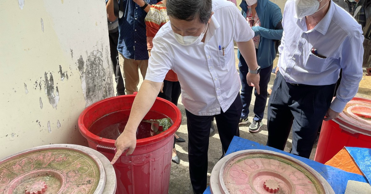 TP.HCM: Sốt xuất huyết gia tăng, hỗ trợ Hóc Môn chống dịch