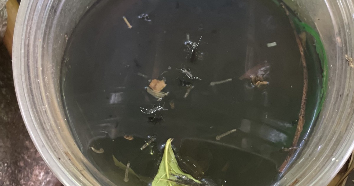 Tình hình dịch bệnh mới nhất tại TP.HCM ngày 11.12