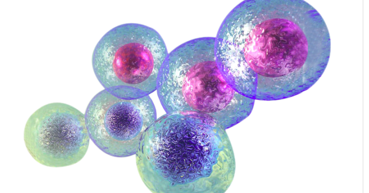 Trường ĐH đầu tiên “bán” công nghệ sản xuất thuốc tế bào gốc cho bệnh viện