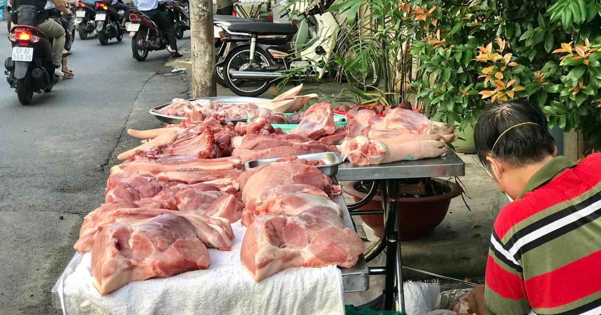 Giá heo hơi hôm nay 15.2.2022: Tiếp đà giảm, mức thấp nhất 54.000 đồng/kg