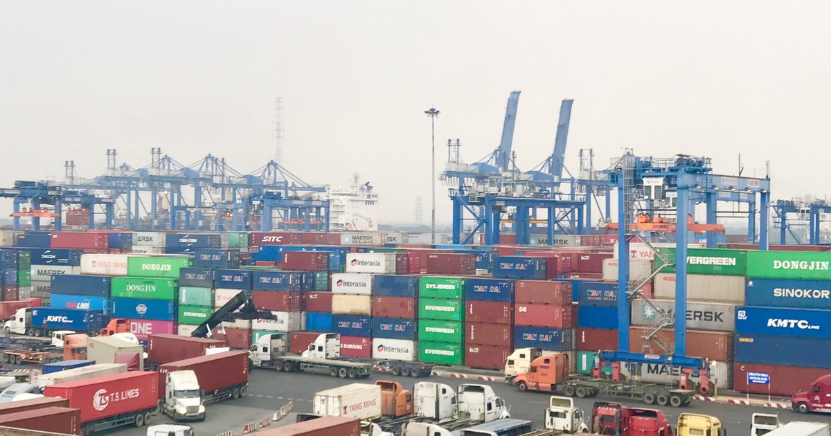 Hàng tồn chạm ngưỡng 100%, cảng Cát Lái đứng trước nguy cơ gián đoạn hoạt động