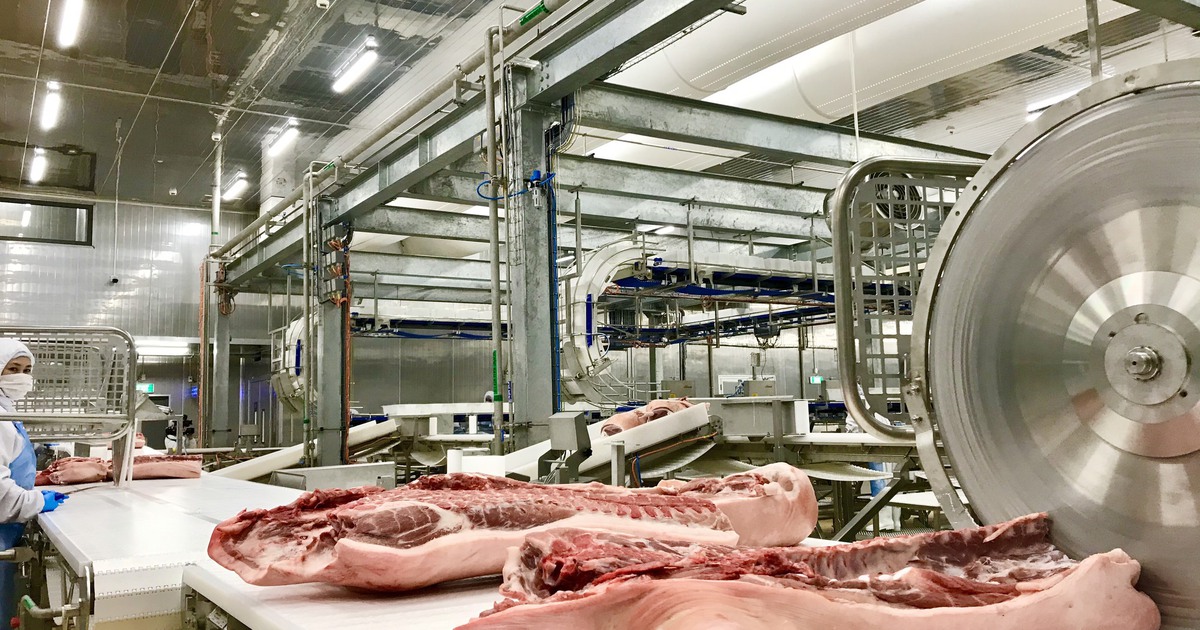 Giá heo hơi hôm nay 25.2.2021: Heo ra chợ giảm một nửa