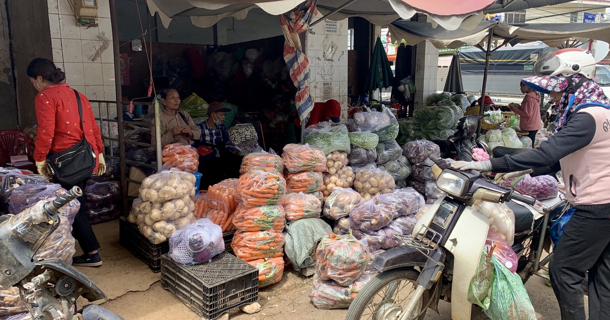 'Khát' rau xanh, các bà nội trợ tổ chức 'mua chung' rau Đà Lạt, nhà vườn