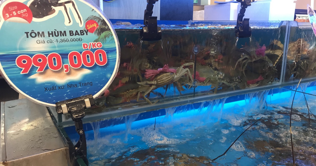 Giá tôm hùm đã tăng gấp đôi giá 'giải cứu'