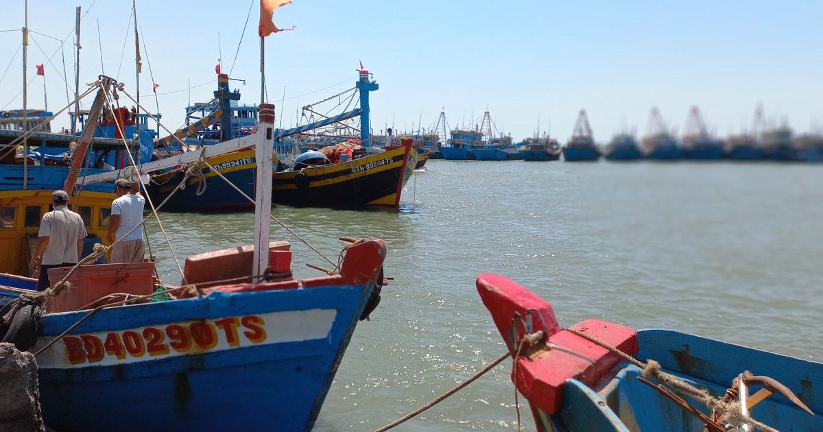 Phép màu kỳ diệu: 4 ngư dân trên tàu cá Bình Thuận mất tích được cứu sống