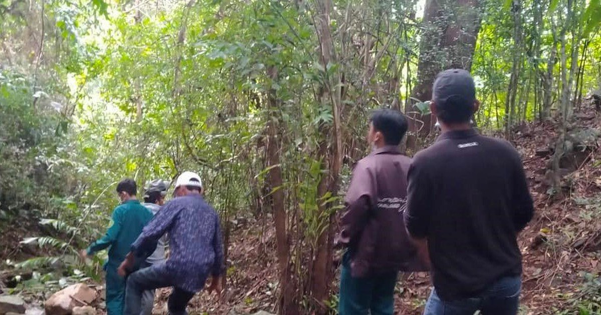 Bình Thuận: Tìm thấy thi thể người phụ nữ đi lạc trong rừng ở núi Tà Cú