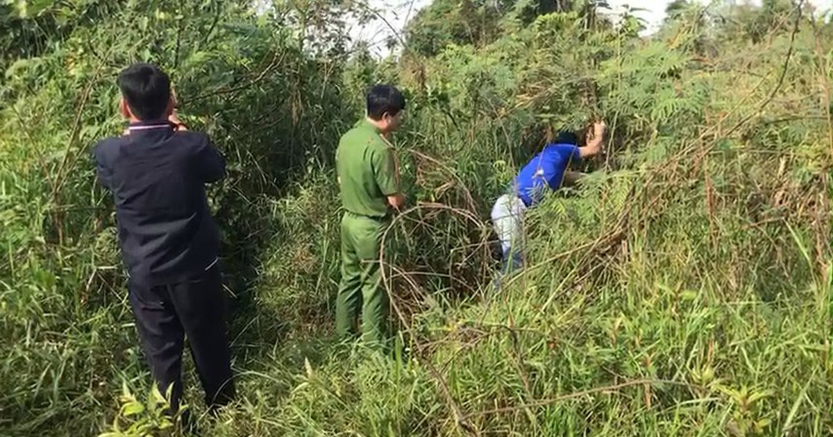 Bình Phước: Phát hiện thi thể phụ nữ trong bụi cỏ ngập nước