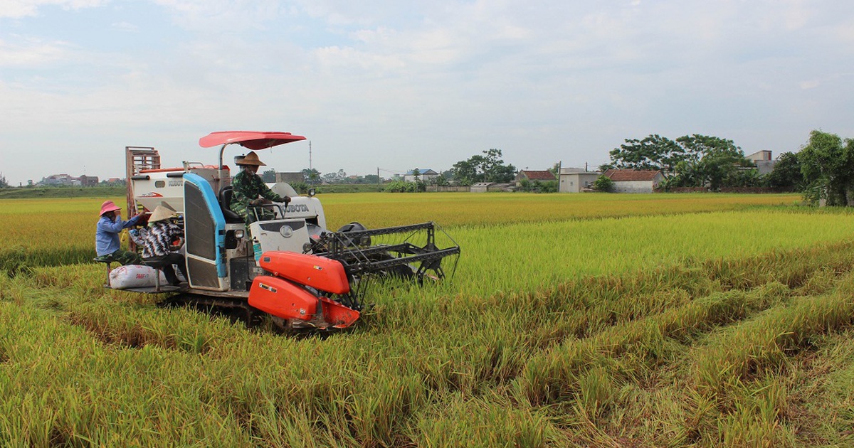 Nam Định, Thái Bình phòng chống bão từ xa