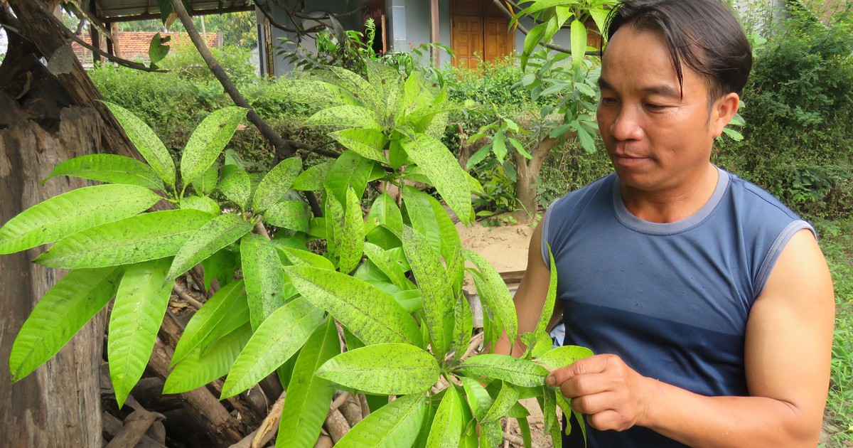 Tro bụi phủ khắp một thị trấn